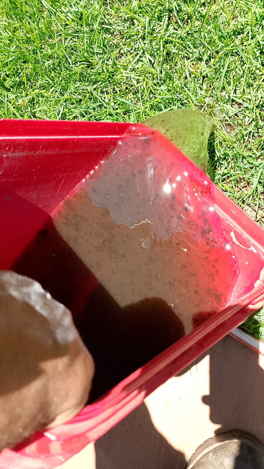 Água com sujeira removida durante higienização
